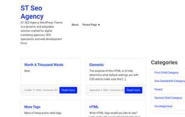 ST Seo Agency (screenshot desktop)