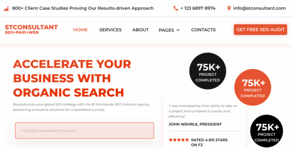 ST SEO Consultant (WordPress)