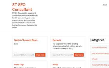 ST SEO Consultant (screenshot desktop)