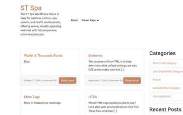 ST Spa (screenshot desktop)