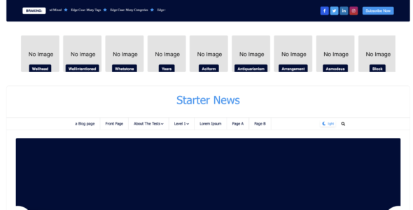 Starter News (WordPress)