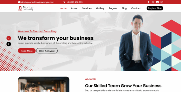 Startup Consultant (WordPress)