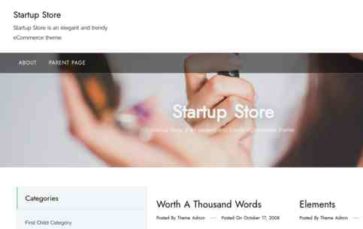 Startup Store (screenshot desktop)