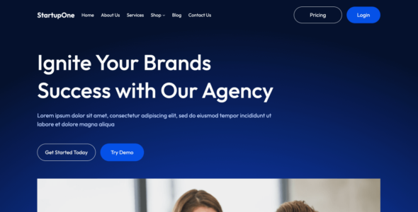 StartupOne (WordPress)