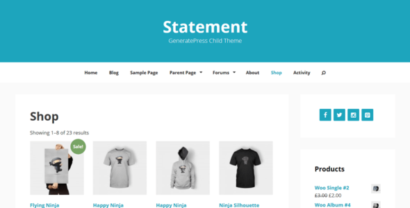 Statement (WordPress)