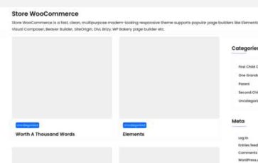 Store WooCommerce (screenshot desktop)