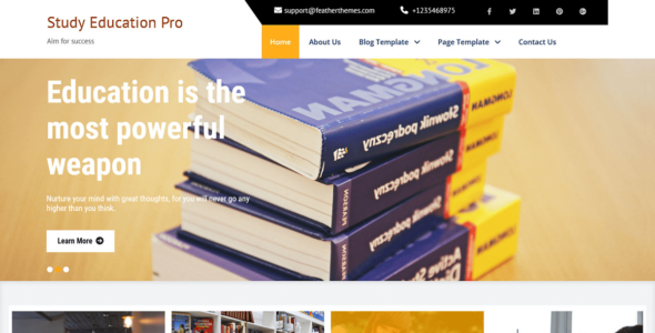 Study Education Lite (WordPress)