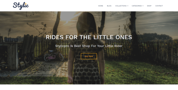 Stylic (WordPress)