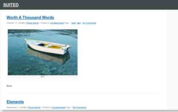 Suited (screenshot desktop)