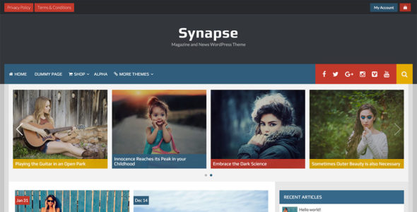Synapse (WordPress)