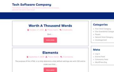 Tech Software Company (screenshot desktop)