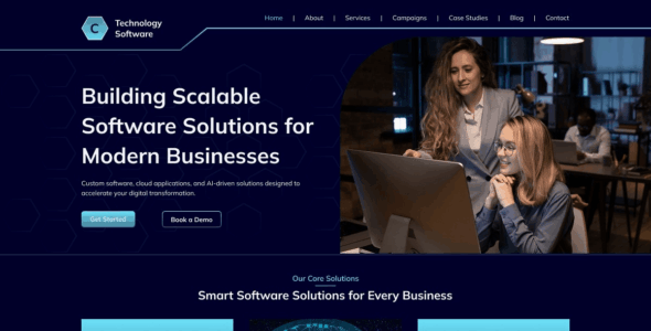 Technology Software Firm (WordPress)
