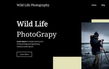 Templazee Wild Life Photography (screenshot desktop)