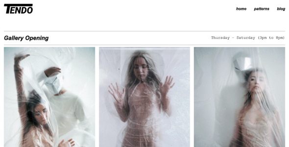 Tendo (WordPress)