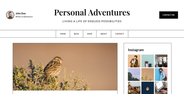 The Blog Journey (WordPress)