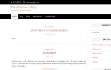 The eCommerce Shop (screenshot desktop)