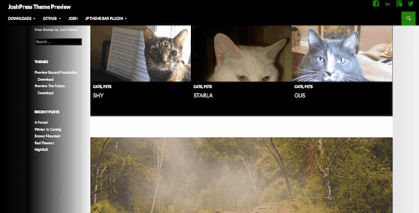 The Falcon (WordPress)