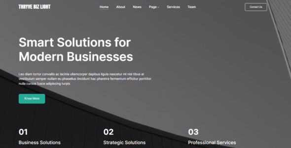 Thryve Biz Light (WordPress)