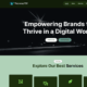 Thryvewp FSE Pulse (WordPress)