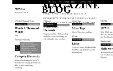 Times News Magazine Blog (screenshot desktop)