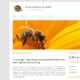 Tiny Forge (WordPress)