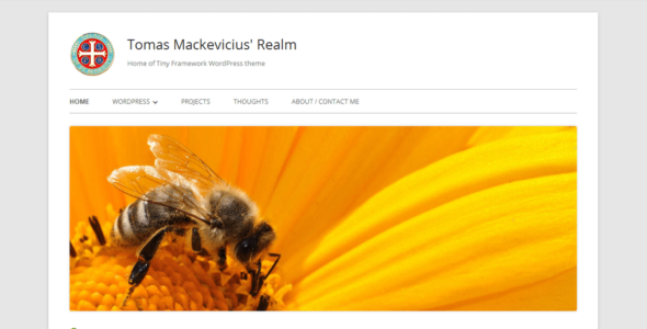 Tiny Framework (WordPress)