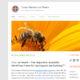 Tiny Framework (WordPress)