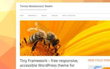 Tiny Framework (screenshot desktop)