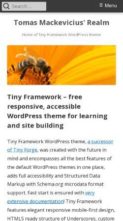 Tiny Framework (screenshot mobile)