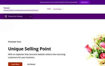 Transact (screenshot desktop)