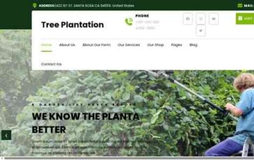 Tree Plantation (screenshot desktop)