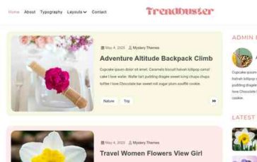 Trendbuster (screenshot desktop)