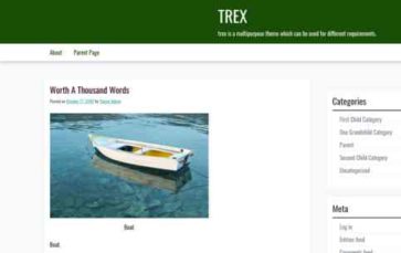 Trex (screenshot desktop)