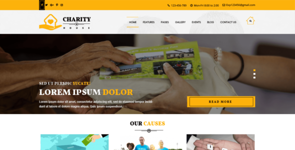 TS Charity (WordPress)