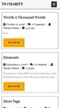 Screenshot Mobile TS Charity (screenshot mobile)
