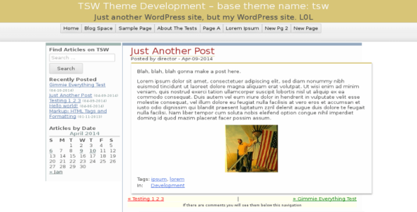 TSW (WordPress)