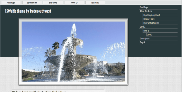 TSWeBiz (WordPress)