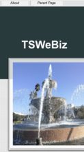TSWeBiz (screenshot mobile)