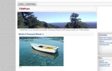 TSWPlain (screenshot desktop)