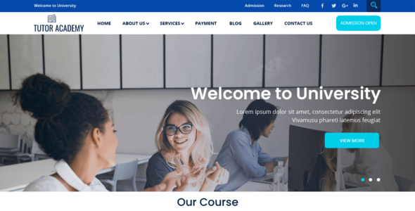 Tutor Academy (WordPress)