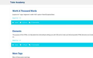 Tutor Academy (screenshot desktop)