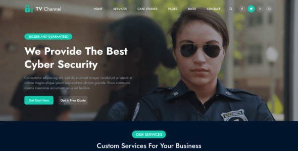 TV Channel Insight (WordPress)