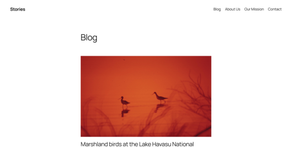 Twenty Twenty-Five (WordPress)