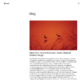 Twenty Twenty-Five (WordPress)