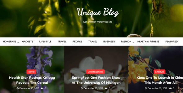 Unique Blog (WordPress)