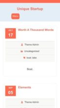 Unique Startup (screenshot mobile)