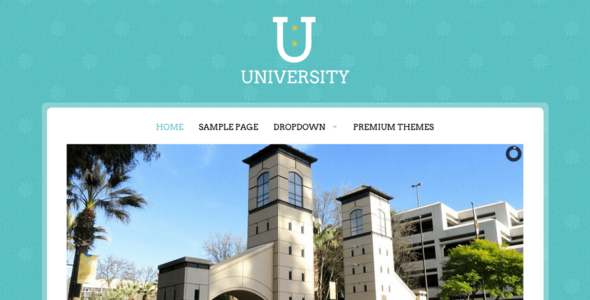 University (WordPress)