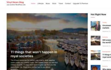 Vinyl News Mag (screenshot desktop)