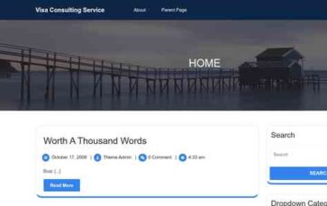 Visa Consulting Service (screenshot desktop)
