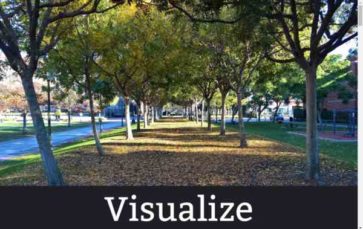 Visualize (screenshot desktop)